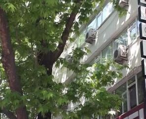 Hotel Abro Necatibey