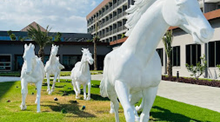The Arkın İskele Hotel