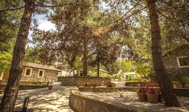 Gillham Vineyard Hotel 