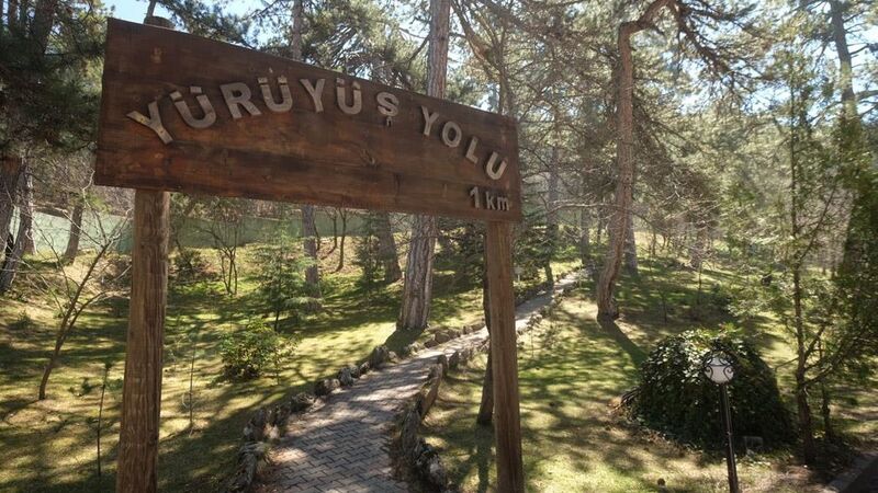 Patalya Thermal Resort Hotel