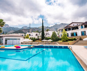 The Olive Tree Hotel