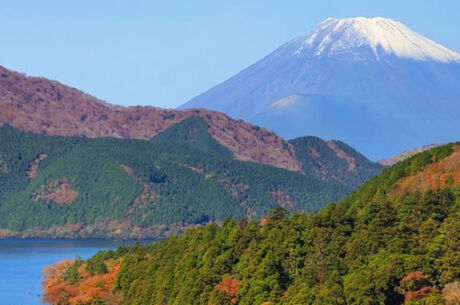Büyük Japonya - Kore Turu THY İle 15 Gece 18 Gün
