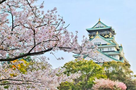 ELEGANT JAPONYA & GÜNEY KORE (Koyo Zamanı) Qatar Hava Yolları ile 9 Gece