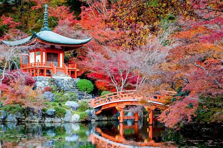 Japonya Kore Turu 12 Gece 13 Gün Emirates Havayolları İle  - 2025