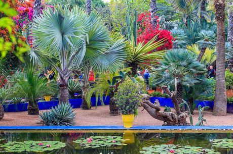 Kurban Bayramı Özel Görkemli Fas Krallığı ve Mistik Şehirler (Tüm Turlar ve Akşam Yemekleri Dahil) AT1266
