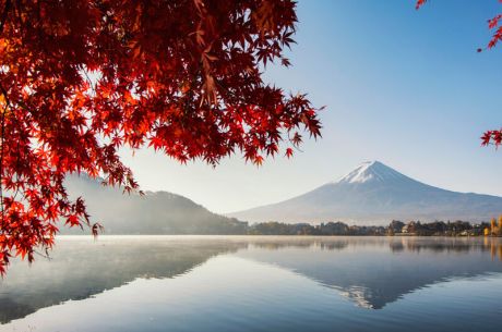 Comfort Japonya & Kore Turu Türk Hava Yolları ile 8 Gece Ekstra Turlar ve Çay Seremonisi Dahil ICN-KIX 2026