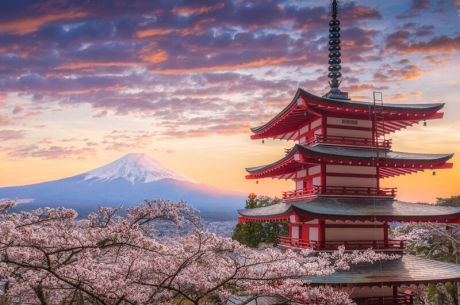 Comfort Japonya Turu Etihad Hava Yolları ile 6 gece Ekstra Turlar Dahil 2026 Dönemi NRT-KIX