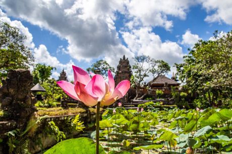 Bali & Ubud Serüveni Turu Türk Hava Yolları ile 6 Gece ( DPS-DPS)