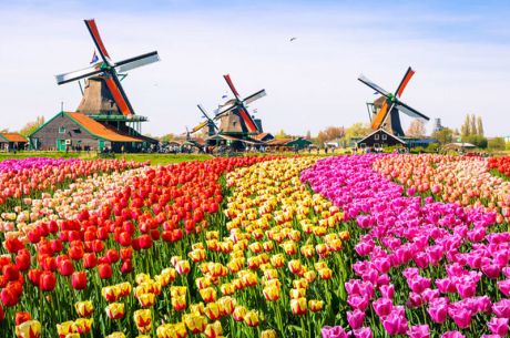 2026 İlkbahar - Yaz Dönemi Ankara Hareket Sun Express Hava Yolları ile 6 Gece Görkemli Üçlü Benelüx – Fransa – Almanya