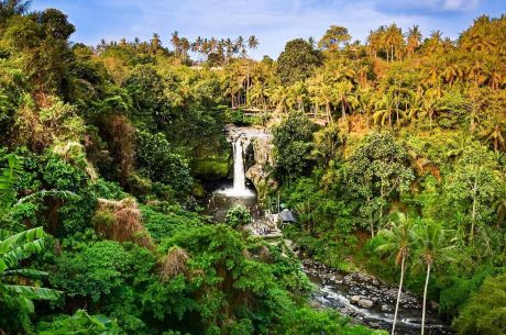 Görkemli Tropikal Ada Bali 5 Gece - Singapur Hava Yolları ile (2026 Yaz Dönemi) 