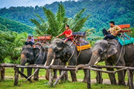 Bangkok-Pattaya-Phuket Turu 7 Gece Saudi Havayolları İle BKK-HKT