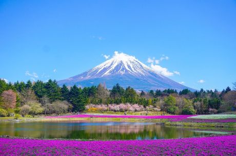 Elegant Japonya Kore Türk Havayolları ile 7 Gece KIX-NRT