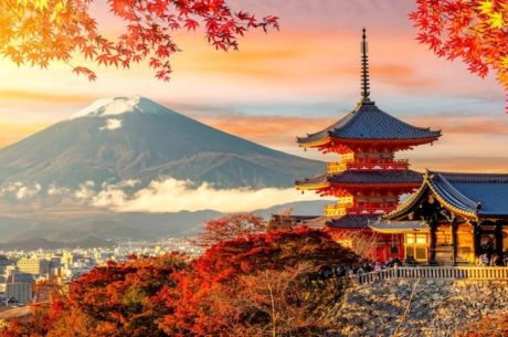 Elegant Japonya Kore Türk Havayolları ile 7 Gece KIX-NRT