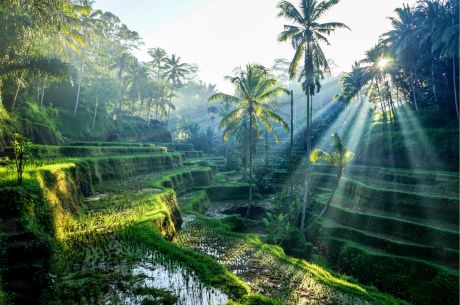 ELEGANT UBUD & BALİ & KUALA LUMPUR Air Asia Hava Yolları ile 6 Gece