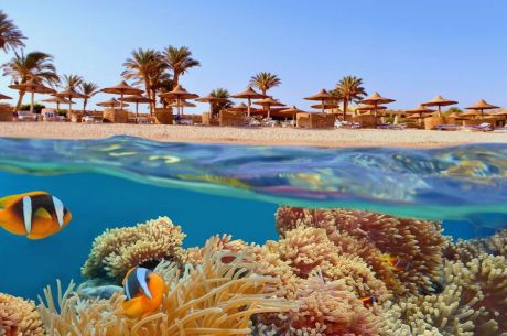 Balayı Özel Konsept Sharm El Sheikh Turu Ajet Havayolları ile 4 Gece Transfer Saatine Kadar Otel Kullanımlı