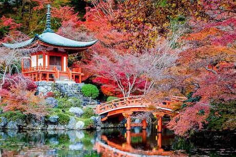 Japonya Kore Turu 12 Gece 13 Gün Emirates Havayolları İle  - 2025