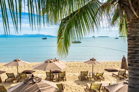 Promosyon Sharm El Sheikh Turu Ajet Havayolları ile 6 Gece Otelden Erken Çıkışlı