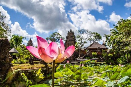 Bali & Ubud Serüveni Turu Türk Hava Yolları ile 6 Gece (DPS-DPS) - Kurban Bayramı 2026 Dönemi
