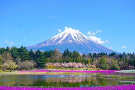 Elegant Japonya Kore Türk Havayolları ile 7 Gece KIX-NRT