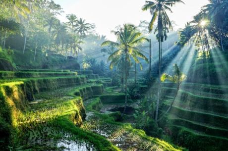ELEGANT UBUD & BALİ & KUALA LUMPUR Air Asia Hava Yolları ile 6 Gece 7 Gün DPS - KUL